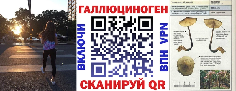Псилоцибиновые грибы Cubensis продажа наркотиков Любим